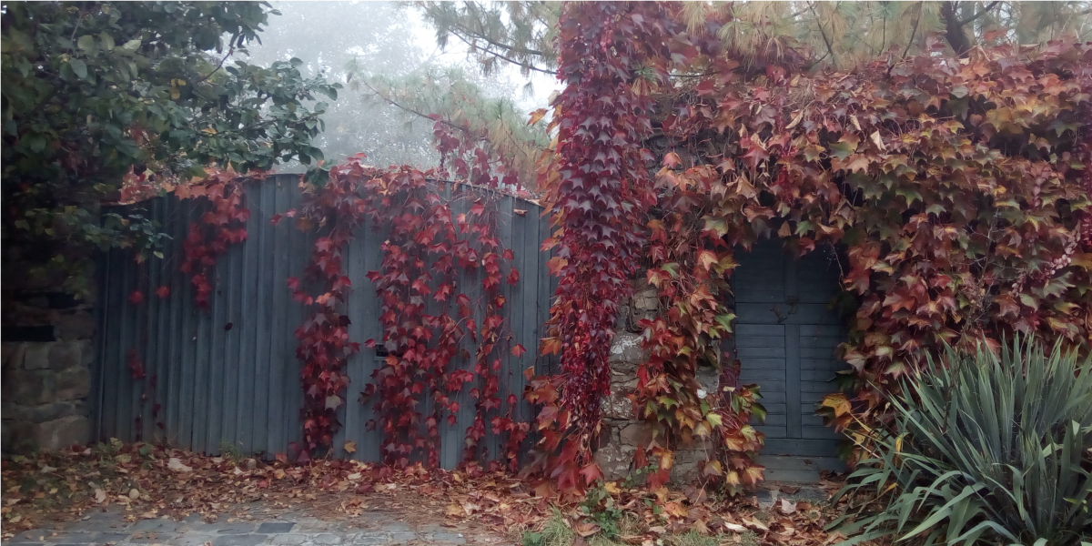 lakókocsi Káli-medence